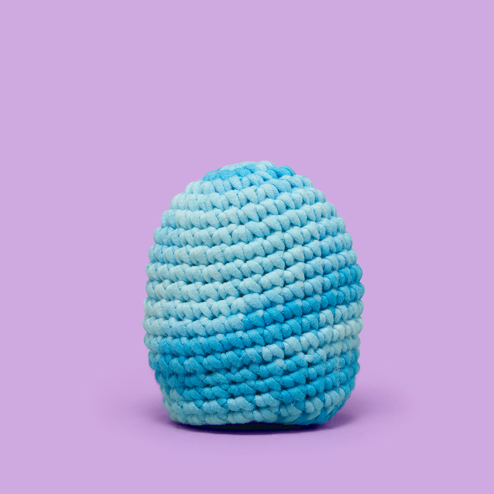 Nova the Blue Jay Crochet Kit - Woobles Start Here