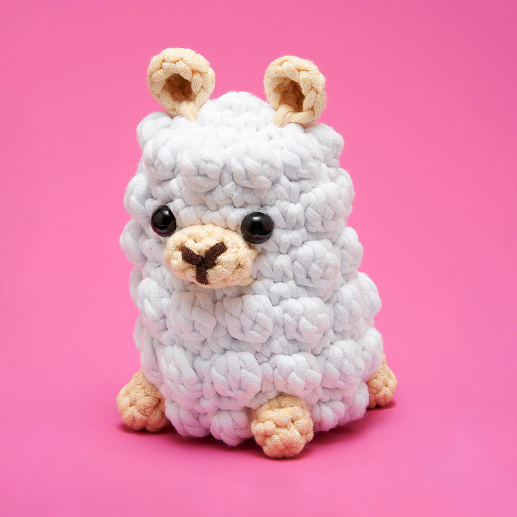 The Slow and Steady Bundle - Creative Gift Idea