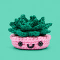 Jade the Succulent Crochet Kit - The Craft Night Pick
