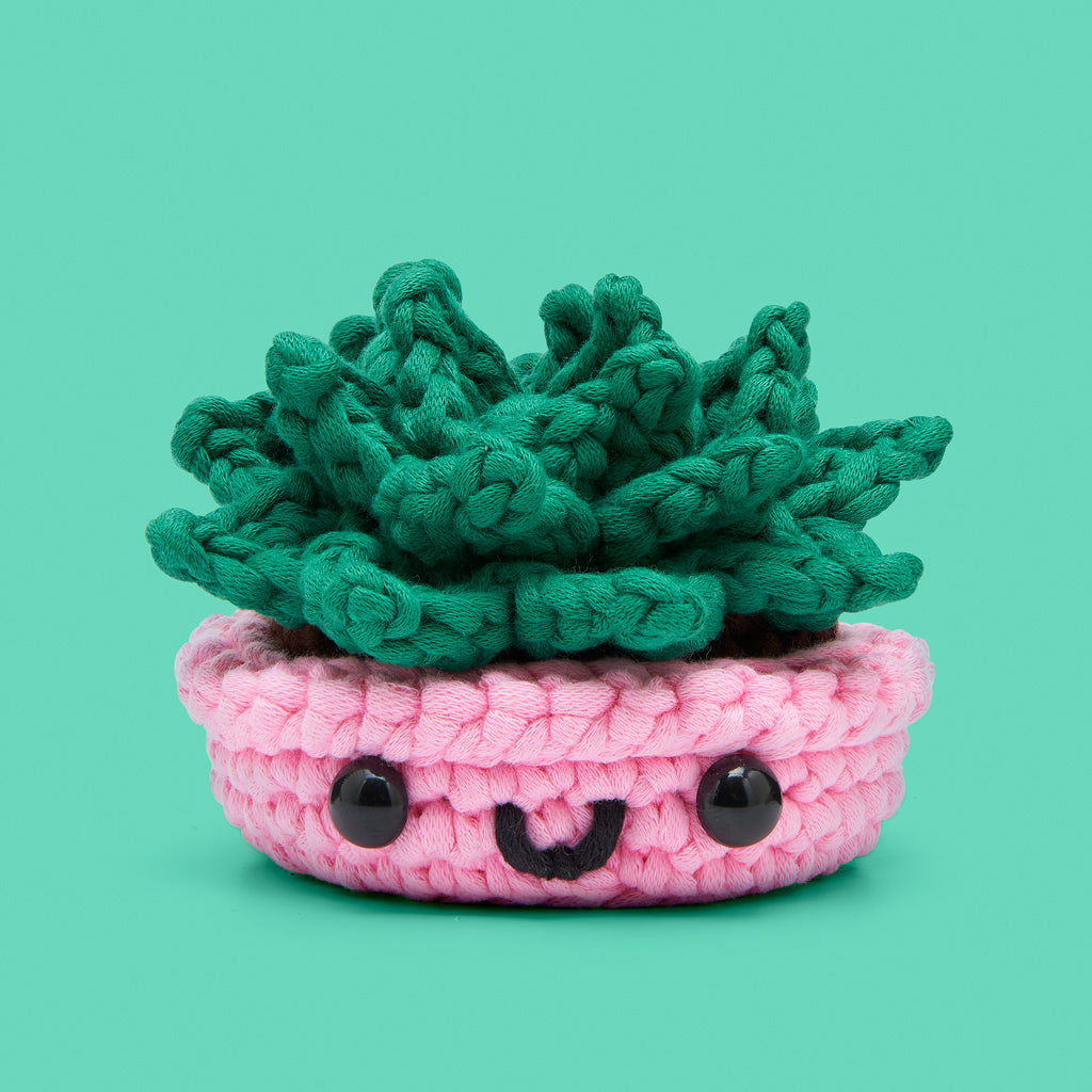 Jade the Succulent Crochet Kit - The Craft Night Pick