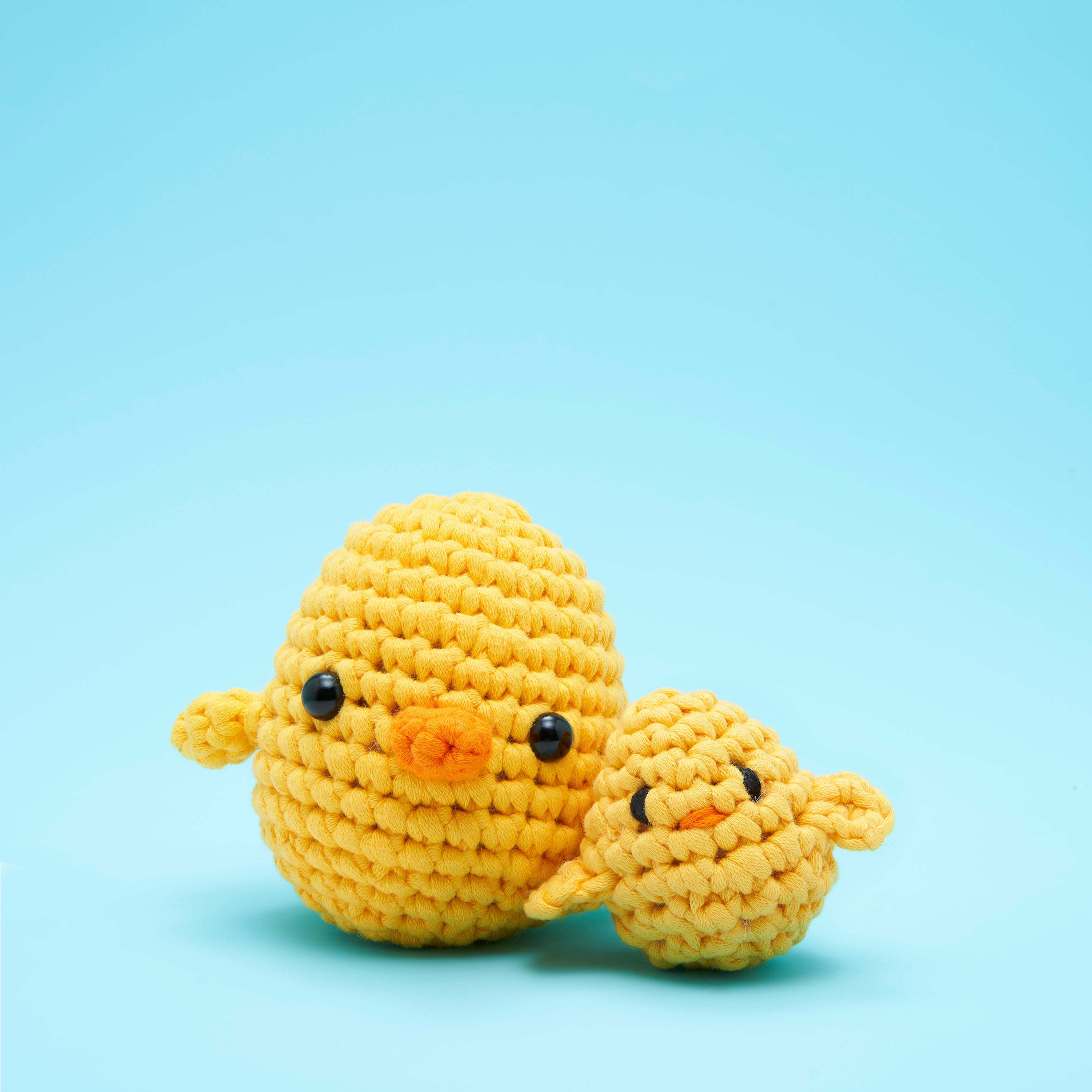 Poquita Chickita Accessory Kit - Learn Crochet Today