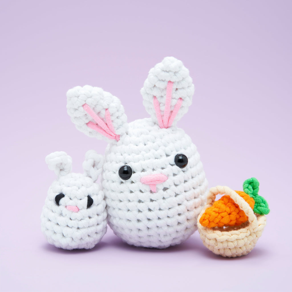 Egg-cellent Accessory Bundle - Instructions Included