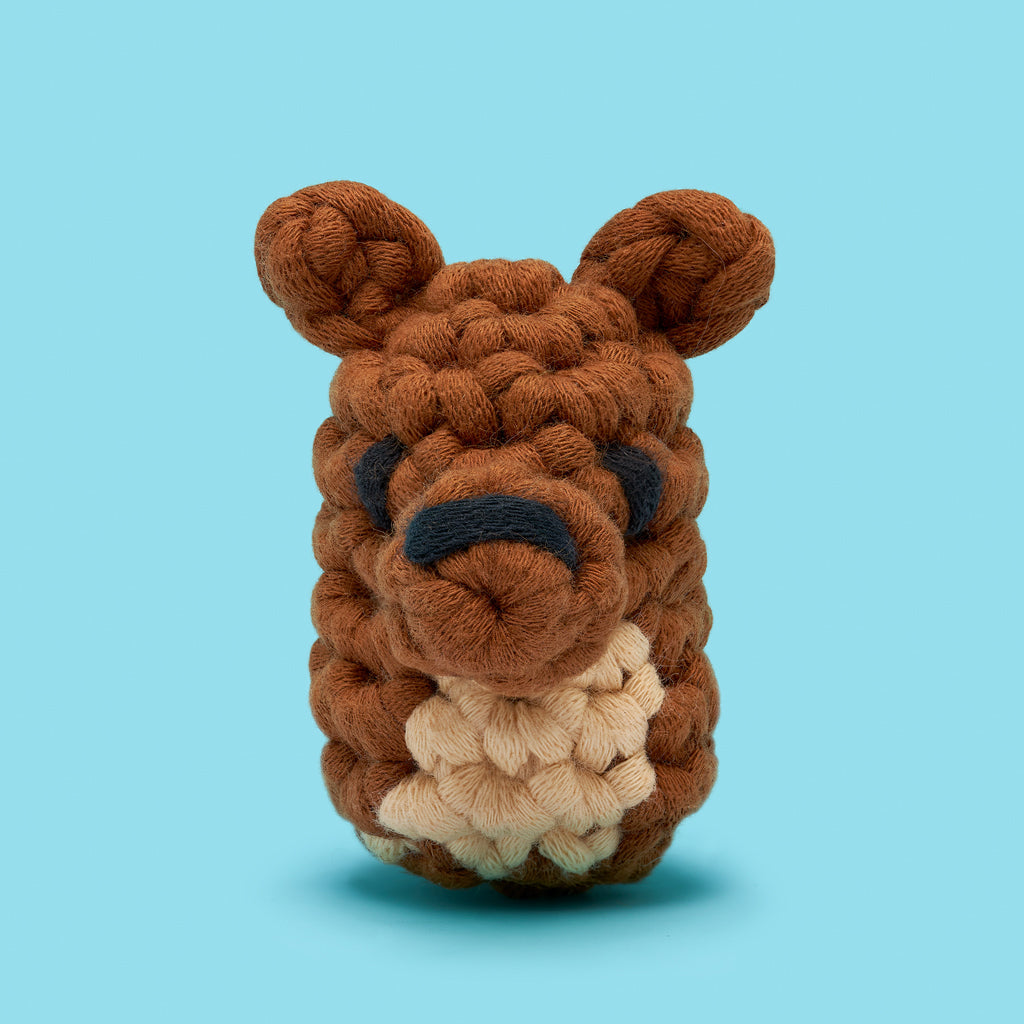 Baby Bella Accessory Kit - Your First Stitch