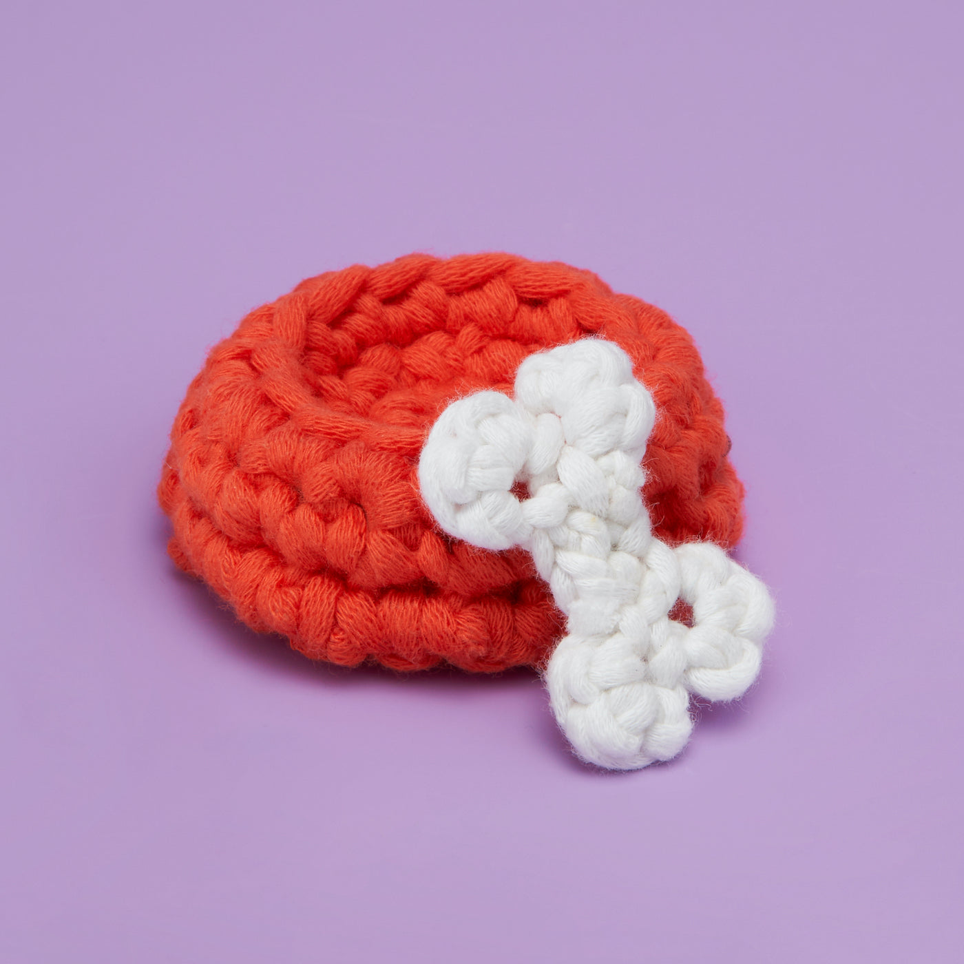 Tiny Dog Bowl & Bone Accessory Kit - The Beginner Crochet Kit