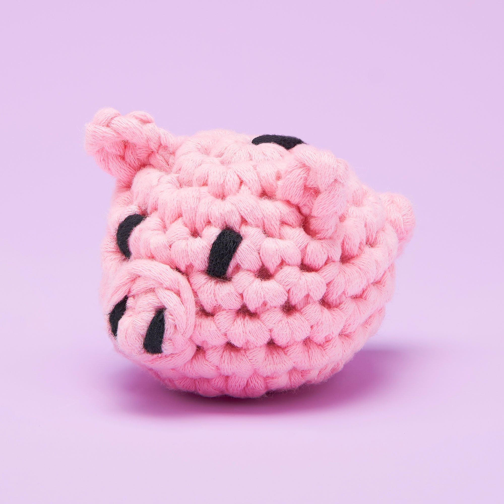 You Rac-coon do it Bundle - Ready with Woobles
