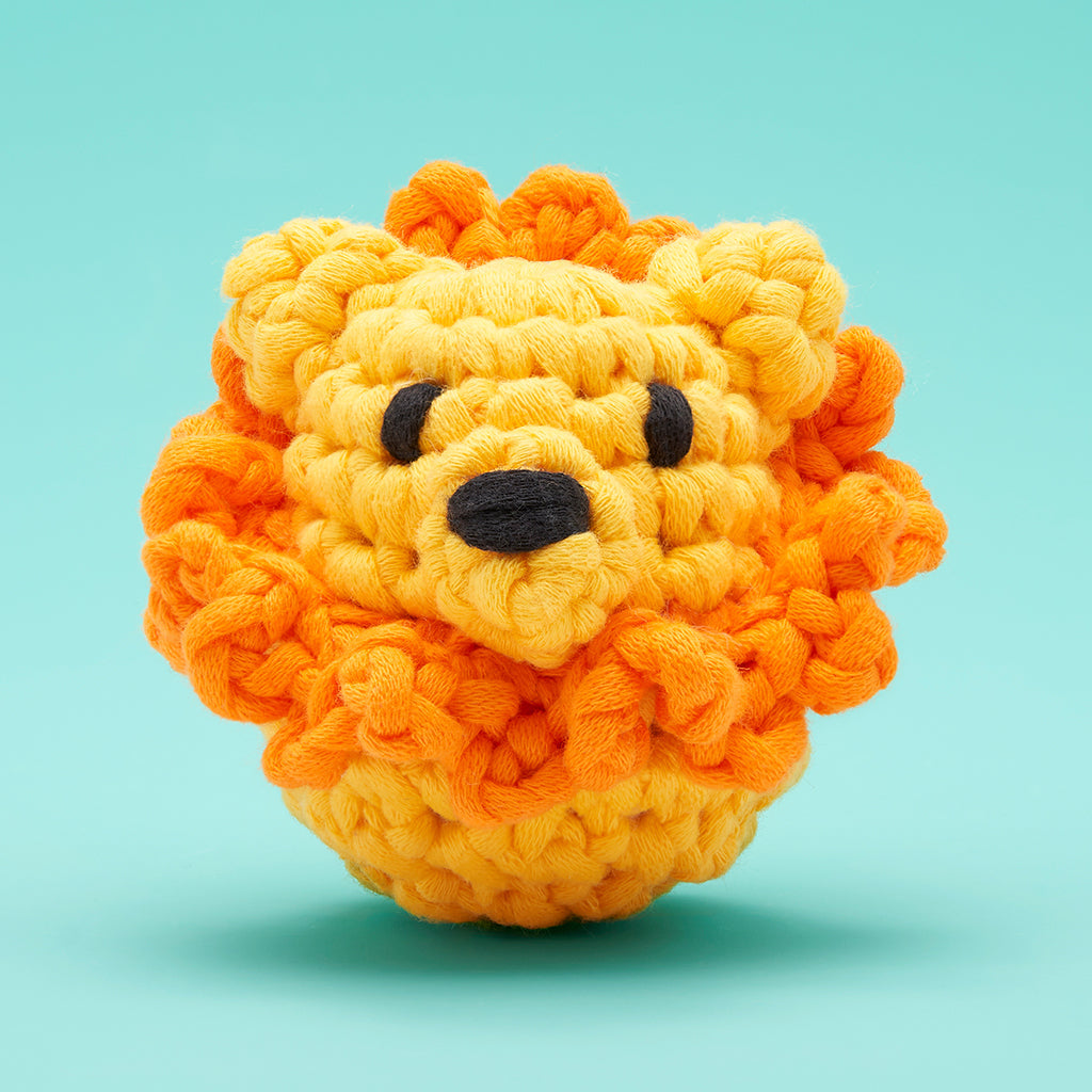 Lil' Lion Accessory Kit - A Project That Smiles