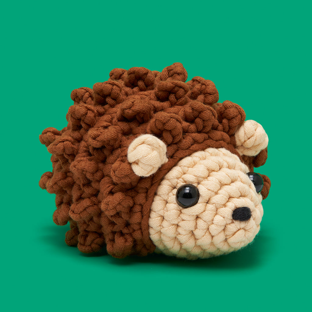 Fitz the Hedgehog Crochet Kit - Stitching Starts Here